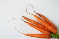 胡萝卜有机蔬菜精美图片