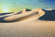 荒芜沙漠沙丘风景图片素材
