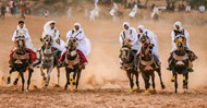 沙特阿拉伯骑手骑马比赛图片大全