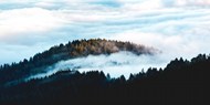 云霧繚繞山脈樹林圖片大全