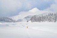 冬季雪域高山雪地树林高清图片