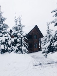 冬季雪地雪松雪屋高清图片