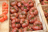 木箱上的红番茄图片素材