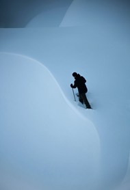 冬季白色雪地行走的背影图片下载