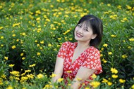 黄色菊花海美女摄影高清图片