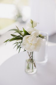 白色花卉插花图片下载