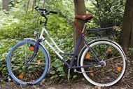 树林里的自行车精美图片