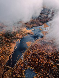 唯美秋季树林湖泊鸟瞰图高清图片