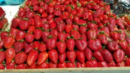 草莓摆摊售卖精美图片