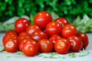 新鲜小西红柿精美图片