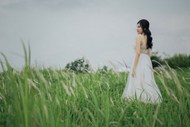 绿色野草丛婚纱写真精美图片