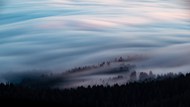 雾气朦胧意境树林高清图片