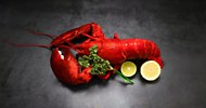 大龙虾海鲜美食图片下载