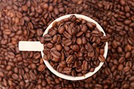 棕色摩卡咖啡豆图片下载