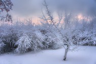 冬季户外白雪积雪景观高清图片