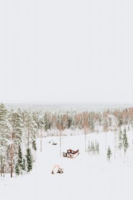 唯美冬季密林雪景图片下载