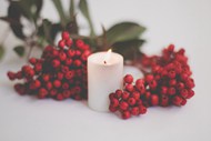 圣诞蜡烛和红浆果图片下载