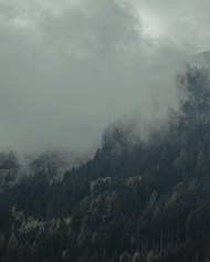 雾气缭绕深山野林精美图片