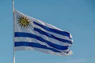 飘扬乌拉圭国旗图片