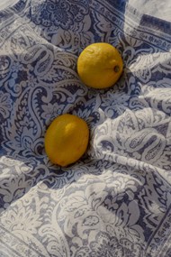 两个柠檬精美图片