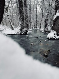 初春树林河流冰雪融化图片下载