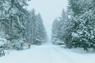 冬季树林公路漫天大雪图片大全