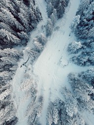 冬季雪地松树林鸟瞰图高清图片
