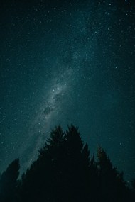 夜晚树影璀璨星空图片大全