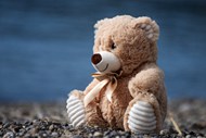 泰迪熊大型毛绒玩具精美图片