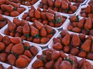 红色丹东大草莓高清图片