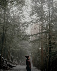 雾气朦胧树林美女风景精美图片