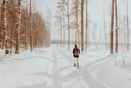 冬季走在树林小路上的背影精美图片