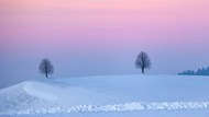 冬季紫色黄昏浪漫风景高清图片