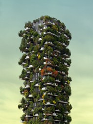 栽满盆栽植物的房屋建筑高清图片
