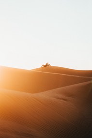 沙漠背靠背情侣图片下载