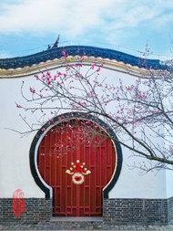 中国古风庭院梅花精美图片