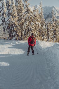 冬季滑雪运动背影图片下载