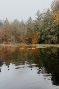 秋季树林湖面高清图片