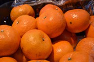成熟橙色沃柑图片大全