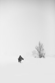 风雪中行走的背影图片下载