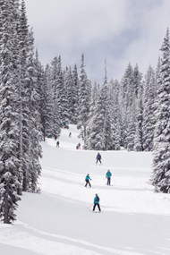 冬季雪地滑雪团队精美图片