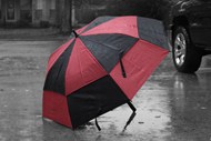 红黑双色雨伞精美图片