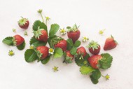 新鲜草莓水果精美图片