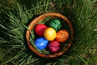 草丛里的复活节彩蛋图片下载