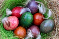 复活节鸟巢彩色鸡蛋高清图片