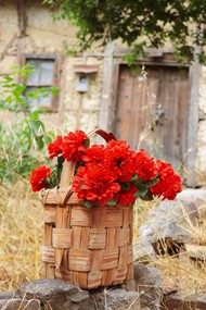编织篮子上的红色花朵精美图片