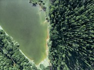绿色树林湖泊鸟瞰图写真精美图片