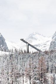冬季唯美树林雪山雪景图片下载
