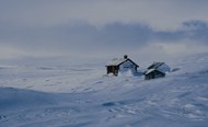 冬季白皑皑雪地小雪屋图片下载