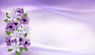 母亲节紫色鲜花背景精美图片